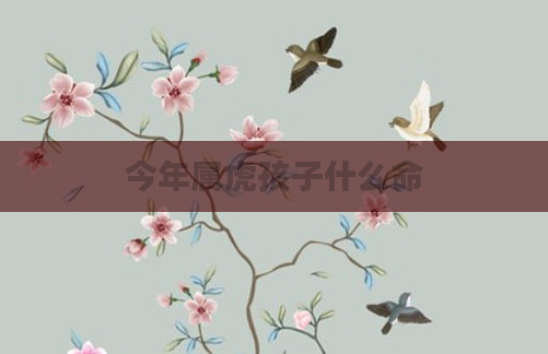 今年属虎孩子什么命