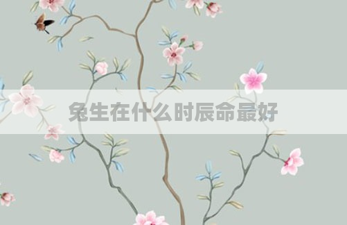 兔生在什么时辰命最好