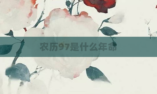 农历97是什么年命