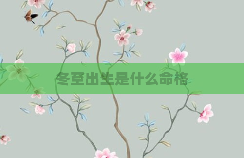 冬至出生是什么命格
