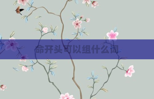 命开头可以组什么词