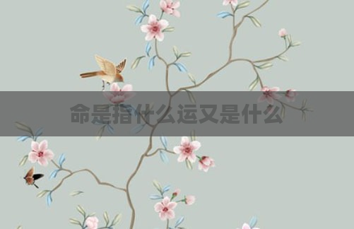 命是指什么运又是什么