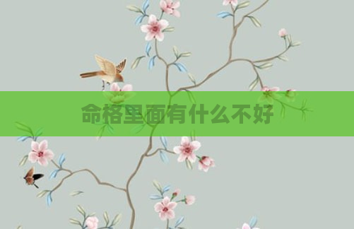 命格里面有什么不好