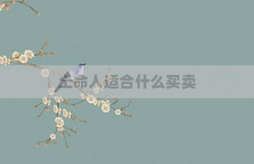 土命人适合什么买卖