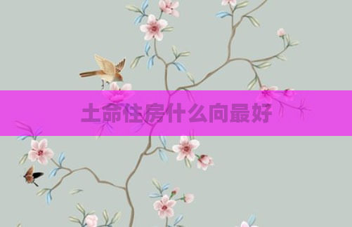 土命住房什么向最好