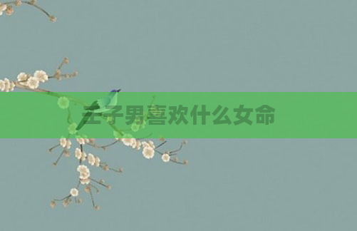 壬子男喜欢什么女命