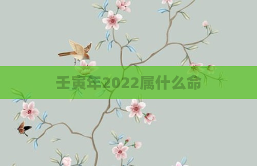 壬寅年2022属什么命