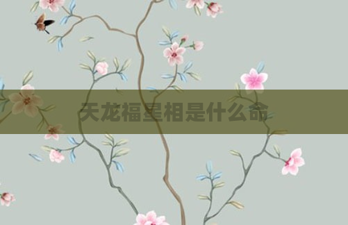 天龙福星相是什么命