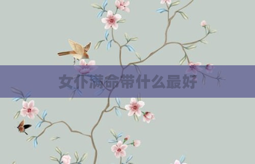 女仆满命带什么最好