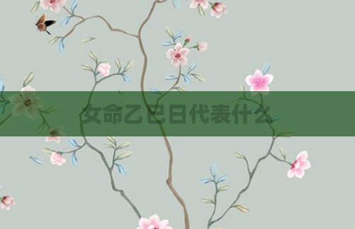 女命乙巳日代表什么
