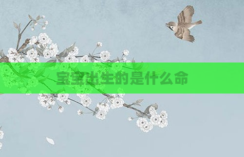 宝宝出生的是什么命