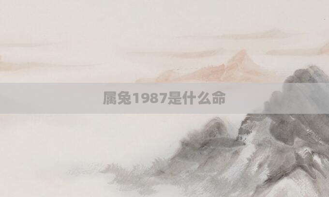 属兔1987是什么命
