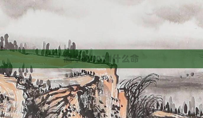 属牛的2021什么命