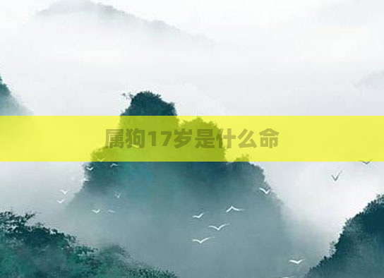属狗17岁是什么命
