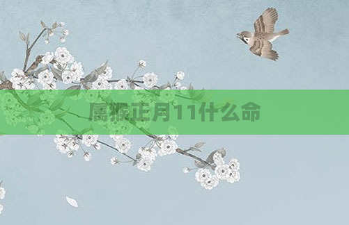 属猴正月11什么命