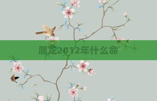 属龙2012年什么命