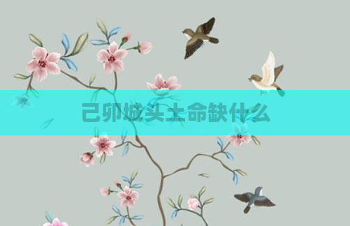 己卯城头土命缺什么