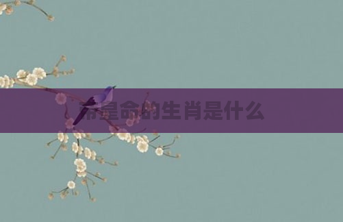 帝皇命的生肖是什么