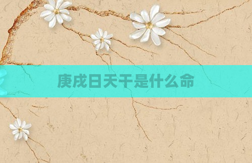 庚戌日天干是什么命