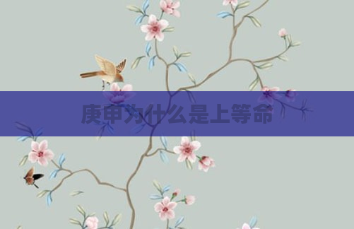 庚申为什么是上等命