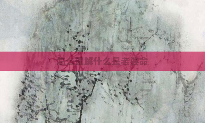 怎么理解什么是老婆命