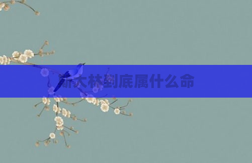 斯大林到底属什么命