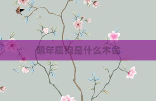 明年属狗是什么木命