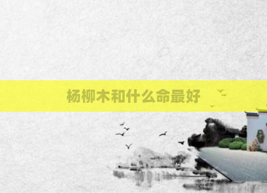 杨柳木和什么命最好