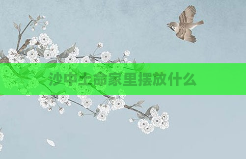 沙中土命家里摆放什么