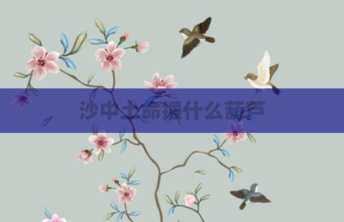 沙中土命摆什么葫芦