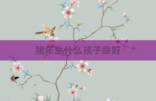 猪年生什么孩子命好