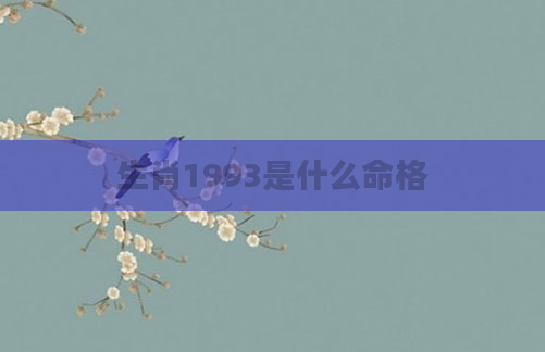 生肖1993是什么命格