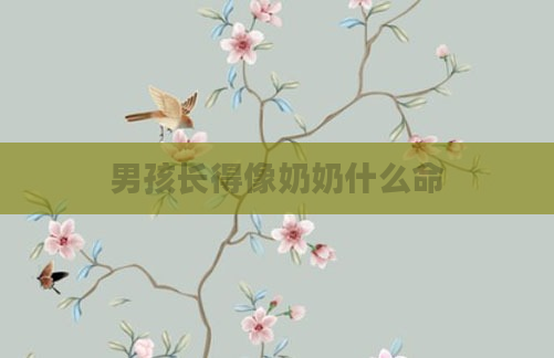 男孩长得像奶奶什么命