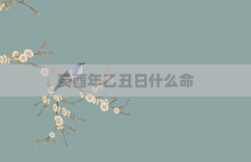 癸酉年乙丑日什么命