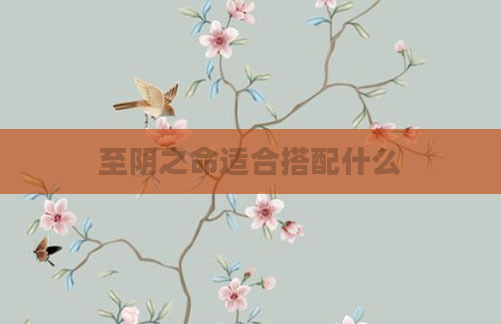 至阴之命适合搭配什么