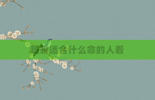 貔貅适合什么命的人看