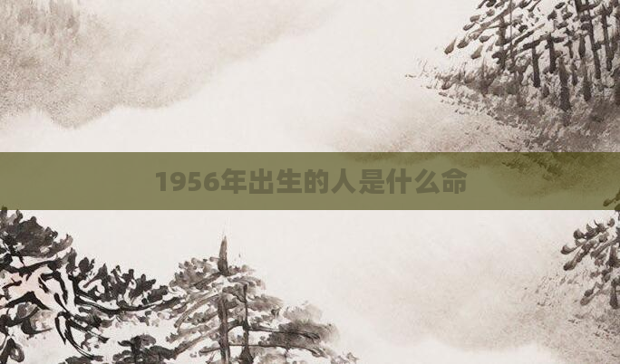 1956年出生的人是什么命