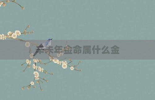 辛未年金命属什么金