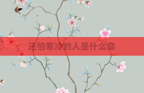 还怕寒冷的人是什么命