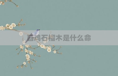 酉鸡石榴木是什么命