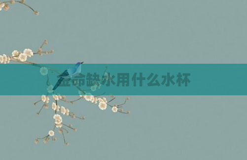 金命缺水用什么水杯