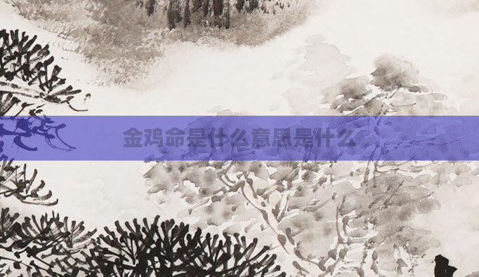 金鸡命是什么意思是什么