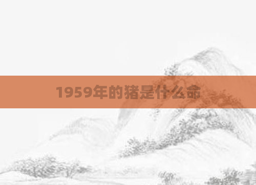 1959年的猪是什么命