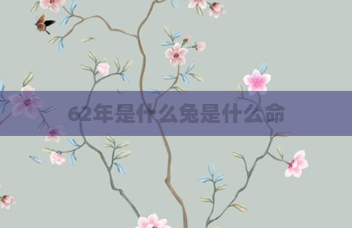 62年是什么兔是什么命