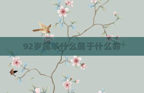 92岁属羊什么属于什么命