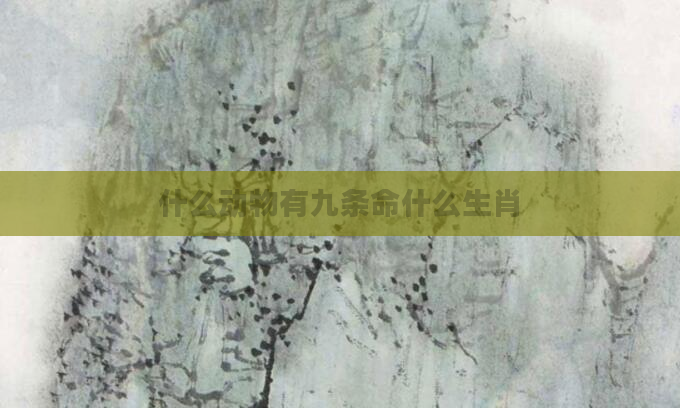 什么动物有九条命什么生肖