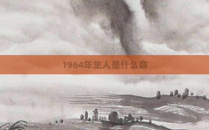 1964年生人是什么命