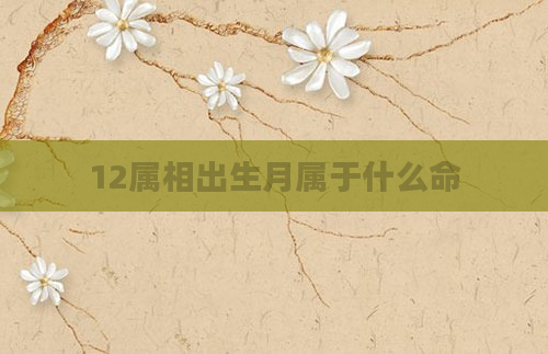 12属相出生月属于什么命