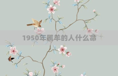 1950年属羊的人什么命