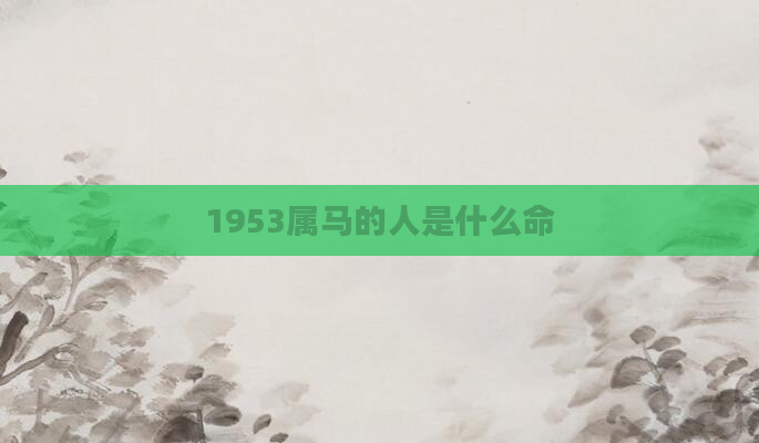1953属马的人是什么命